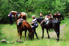Italy-Tuscany-Seven Castles Ride in Chianti